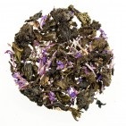 Иван-чай листовой с соцветиями